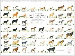 Et ben y a du monde la aussi 